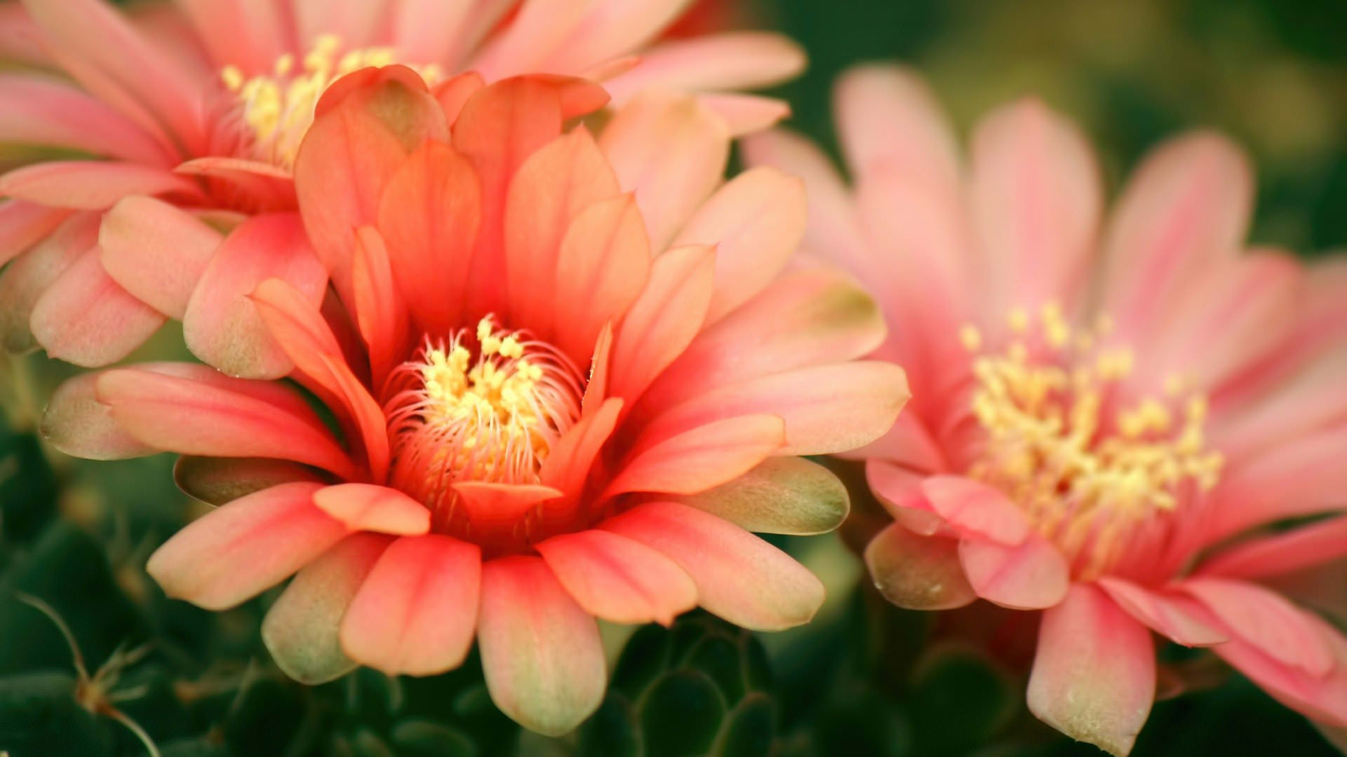 10 Fashion Mistakes Amateurs Make